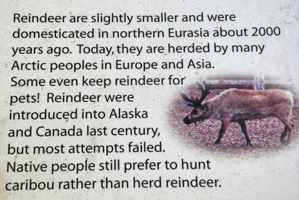 sign about reindeer