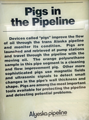 sign about pigs in the pipeline