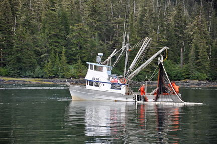 a fishing boat and their catch
