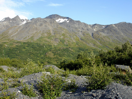 beautiful scenery as seen from Worthington Glacier