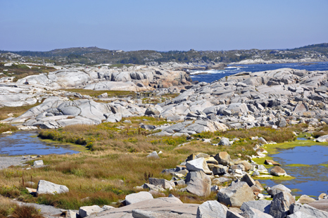 an especially colorful at Peggy's Cove