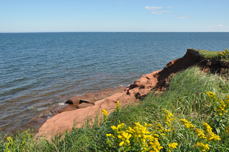 the red cliffs at PEI National Park
