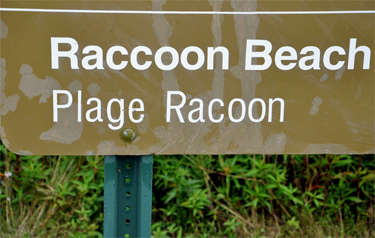 sign - Raccoon Beach