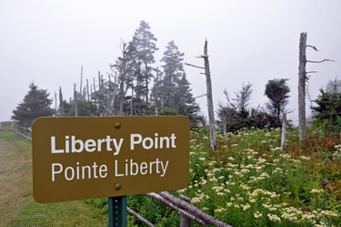 sign - Liberty Point