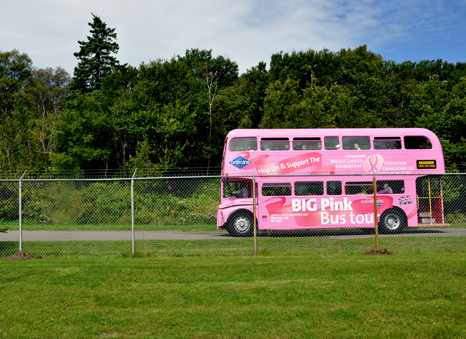 a double decker Pink Bus
