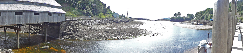 panaroma view of low tide