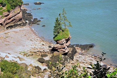 Flower Pot Rock on the Fundy Trail