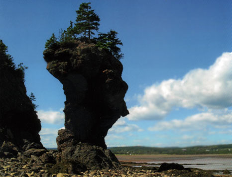 A silhouetted flowerpot rock profile which resembles a human face