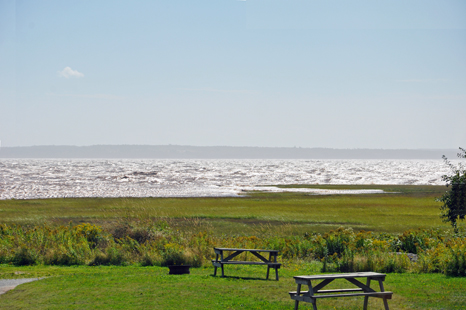 the marsh and the Bay of Fundy