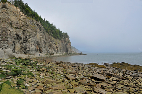 the beach at Cape Enrage