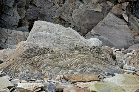Some of the rocks have amazing shapes, colors and lines.