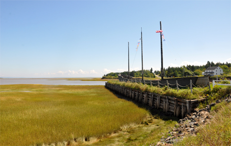 View of the marsh beside the ship monument