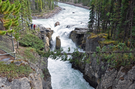 photo of Sunwapta Falls  from the bridge