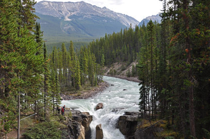 photo of Sunwapta Falls  from the bridge