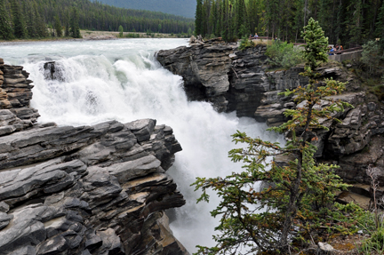 the Athabasca Falls