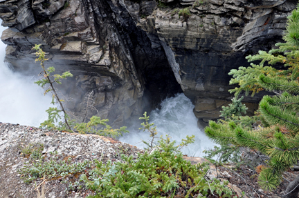 the Athabasca Falls