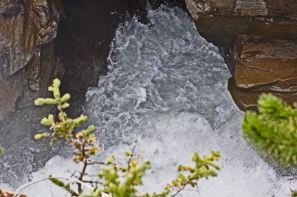 the Athabasca Falls