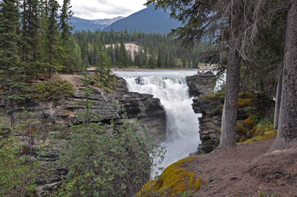 the Athabasca Falls