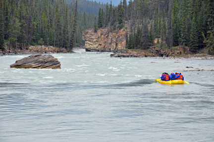 rafters