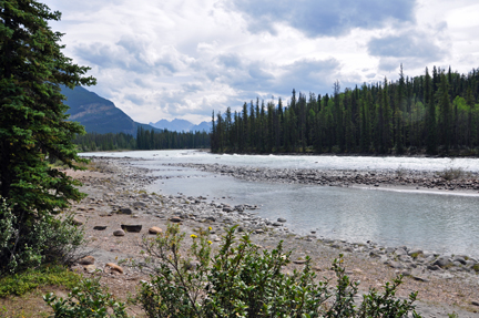 The Athabasca River