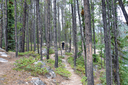 Lee Duquette in the woods