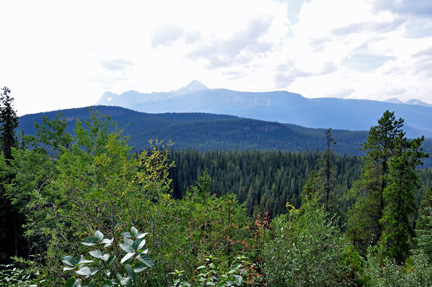 Mt. Edith Cavel