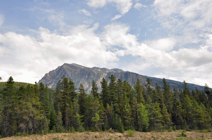 Mt. Hardisty