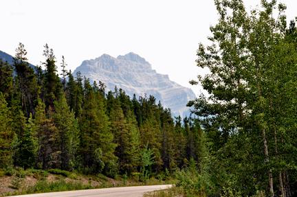 Mt. Hardisty