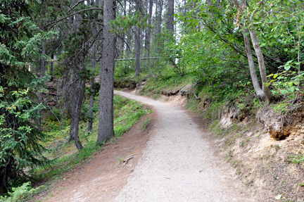 trail to the upper cliff