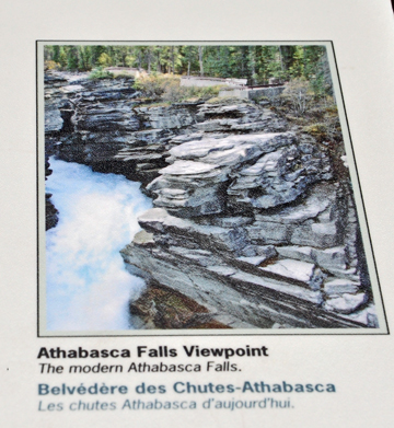 sign - Athabasca Falls Viewpoint