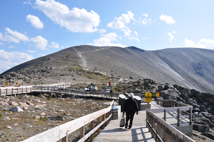 The boardwalk leading to Viewpoint Belvedere