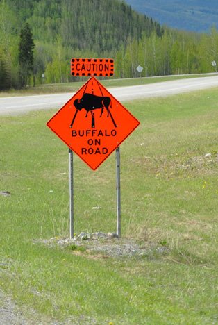 buffalo sign