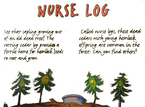 nurse log info