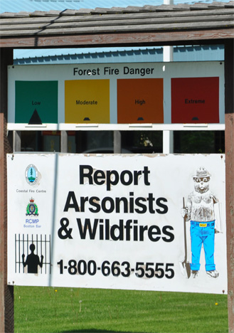 report arsonists