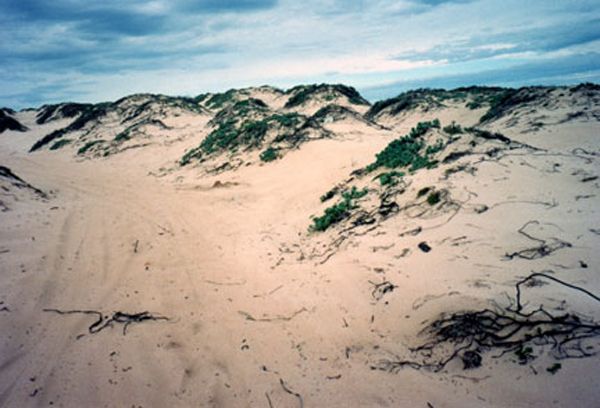 sand mounds