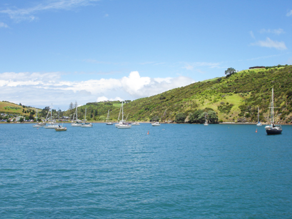 View from a boat ride