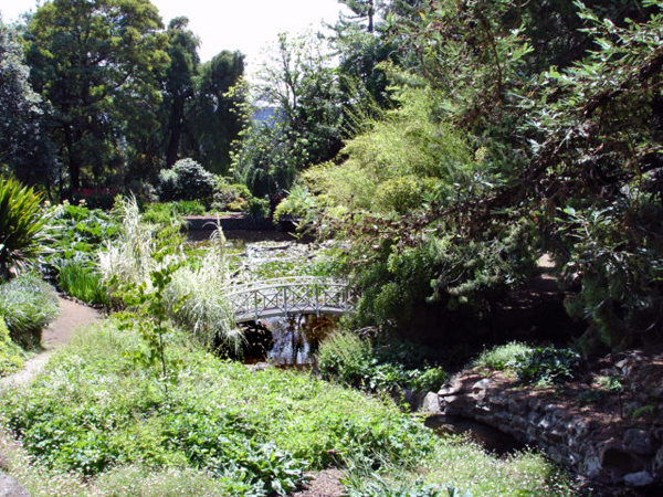 Botanical Garden in Australia 