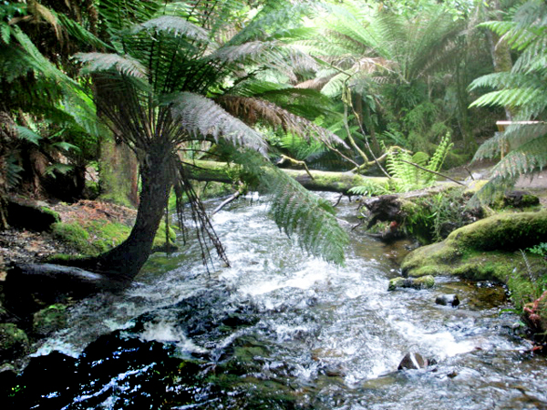 richmond australia river