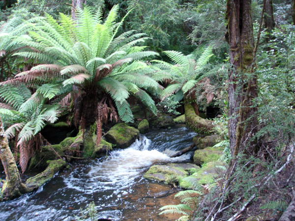 richmond australia river