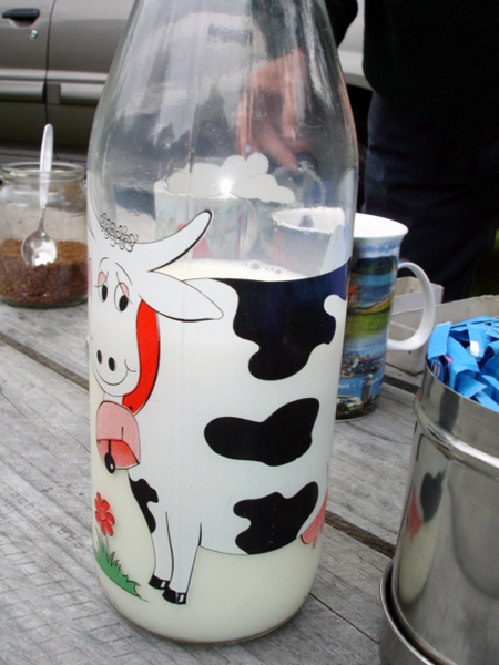 fancy milk bottle