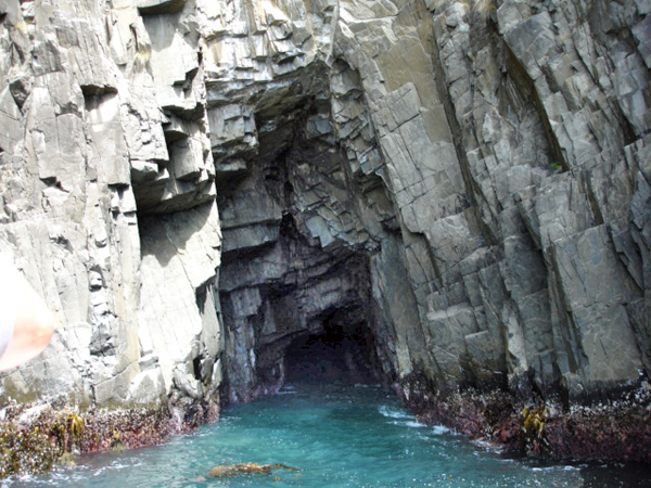 cave entrance at bruny Island in Tasmania australia