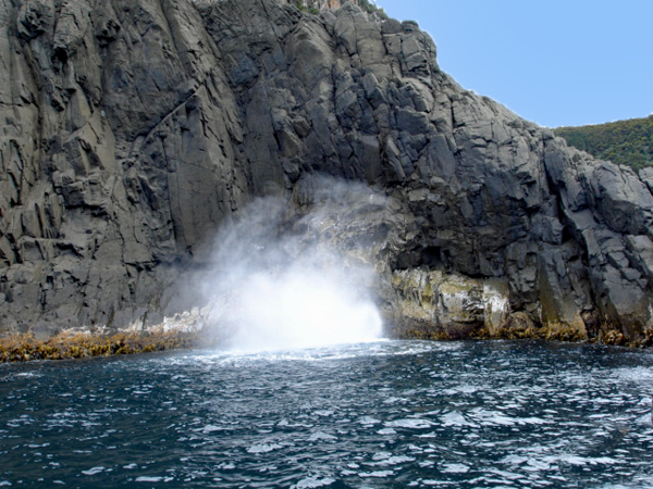 Bruny Island cliffs
