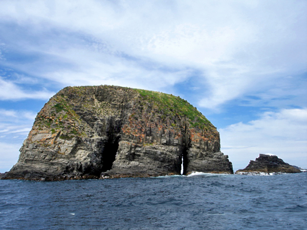 Bruny Island cliffs