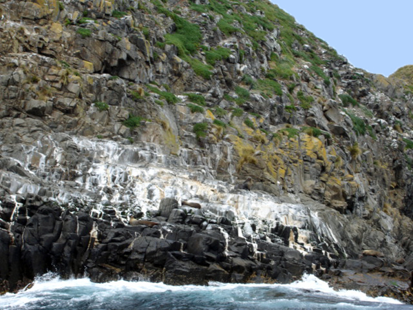 Bruny Island cliffs