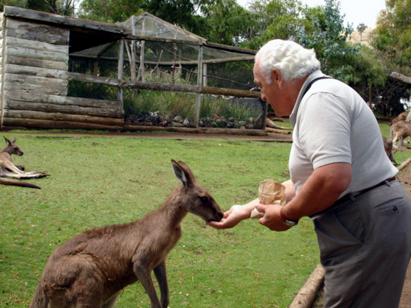 Lee feeding a kangaroo