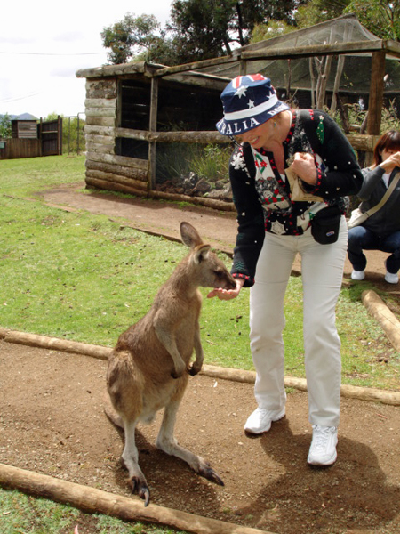 Karen  feeding a kangaroo