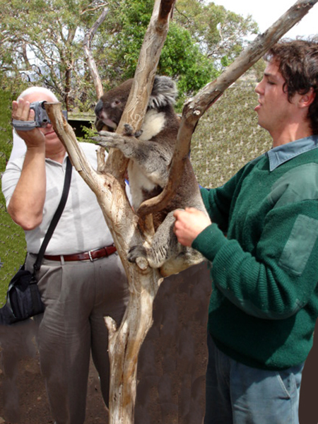 Lee Duquette and a Koala