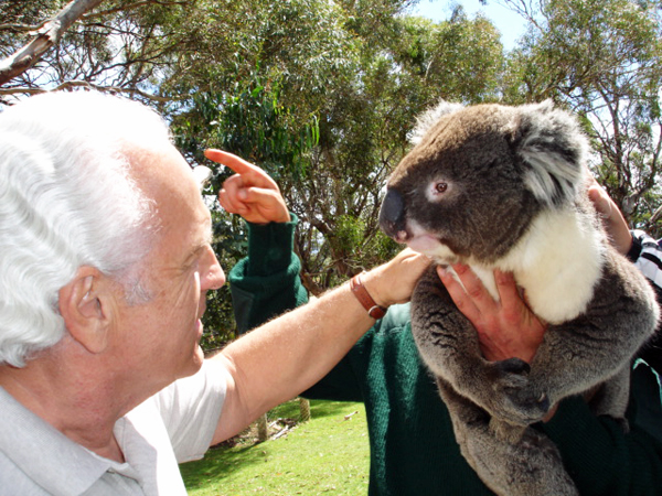 Lee Duquette a a koala