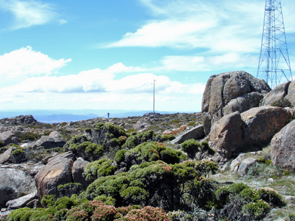 Mount Wellington