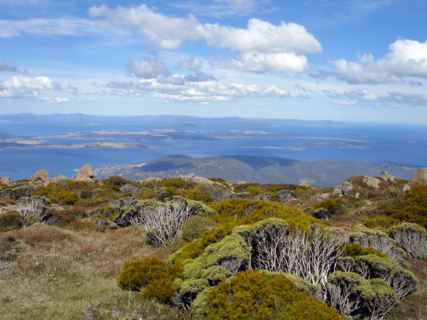 Mount Wellington